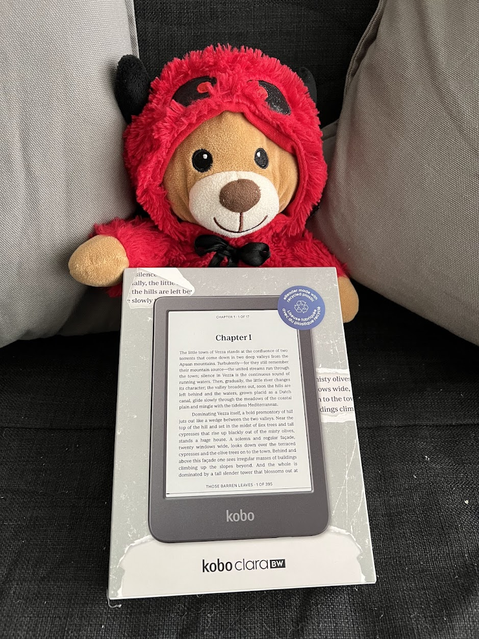 A picture of my Kobo Clara BW box being held by a bear plushie, taken in 2024.